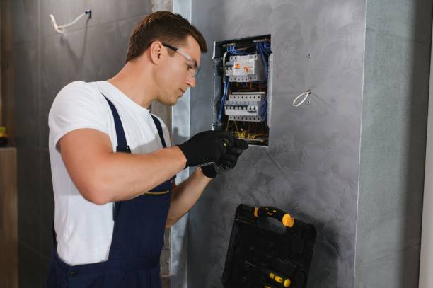 Best Electrician for Home Renovation  in Highlands Ranch, CO